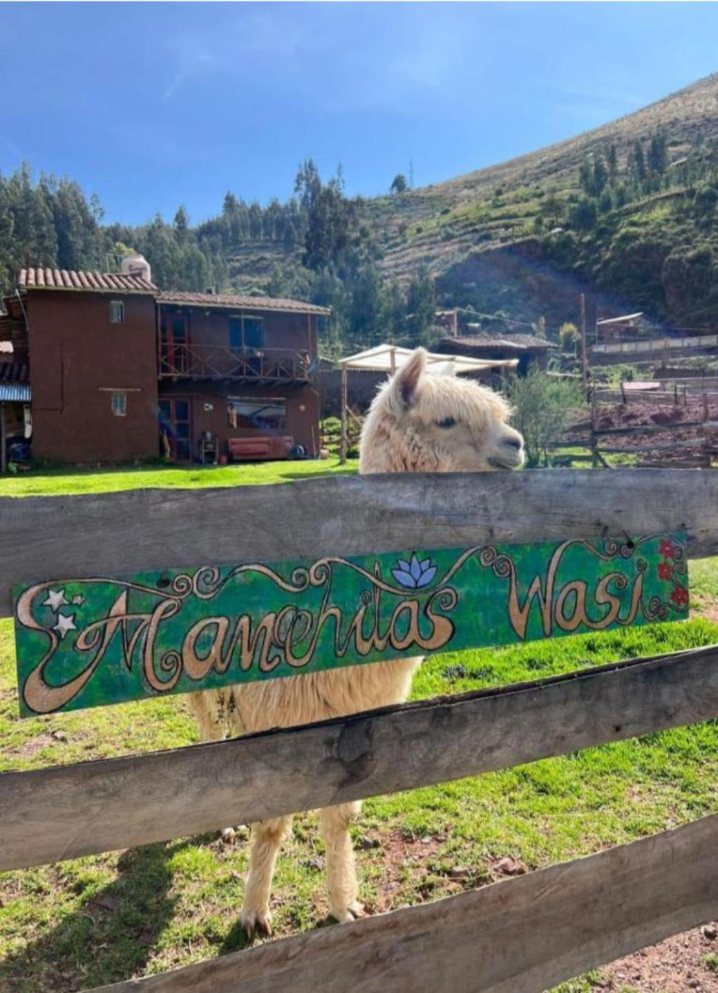 Manchitas Wasi Lejlighed Pisac Eksteriør billede